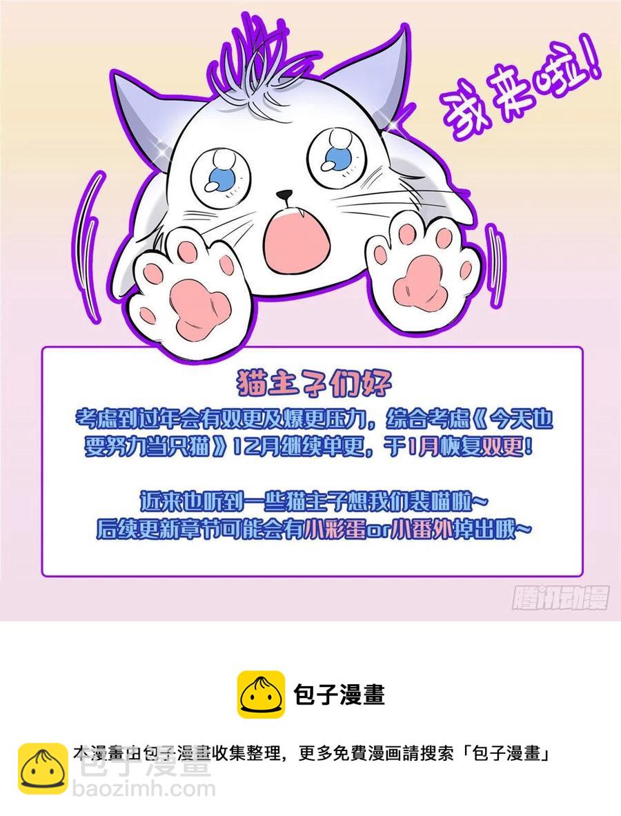 《今天也要努力当只猫》63 裴裴捉（？）现场 第36页