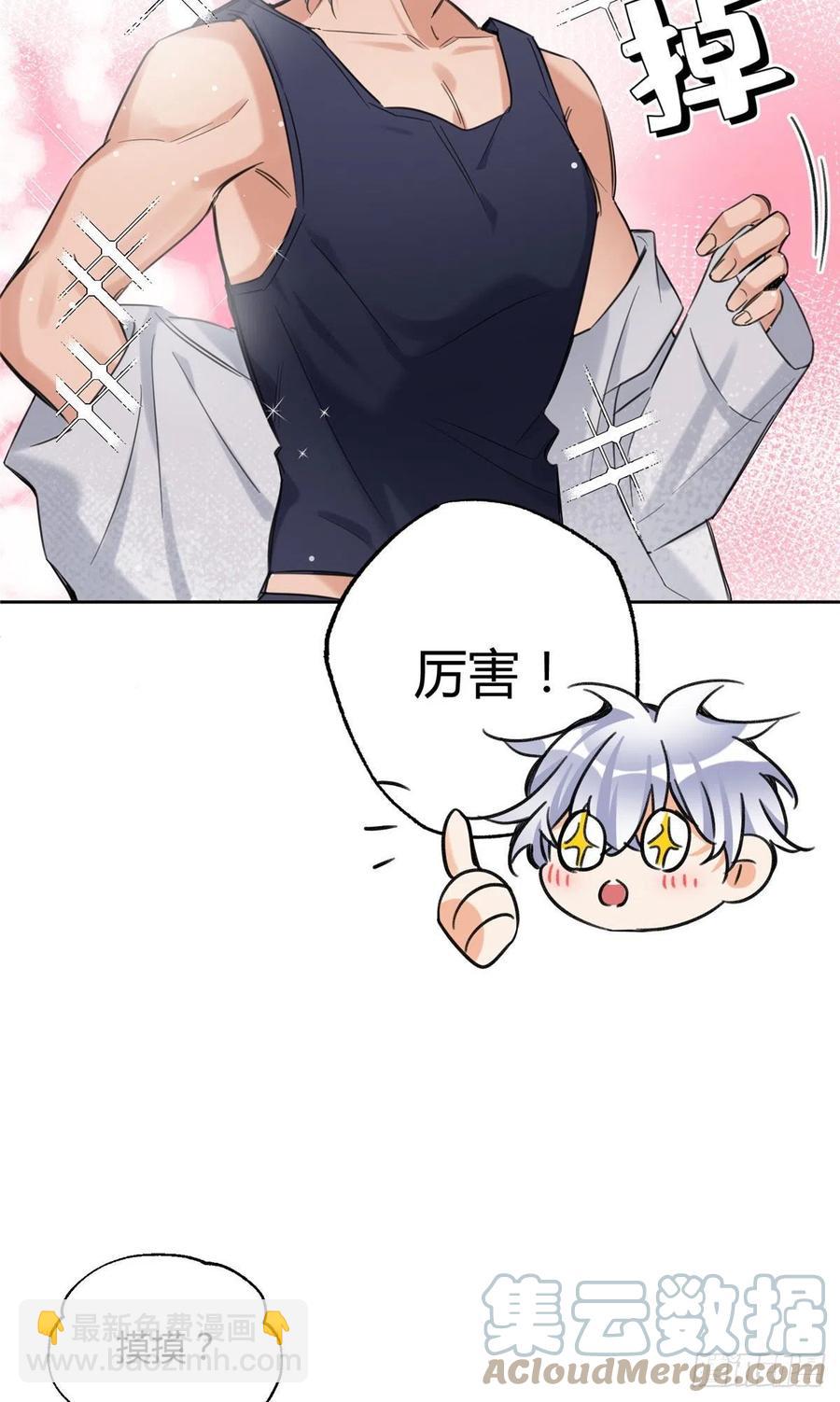 《今天也要努力当只猫》68 不拍了！ 第4页