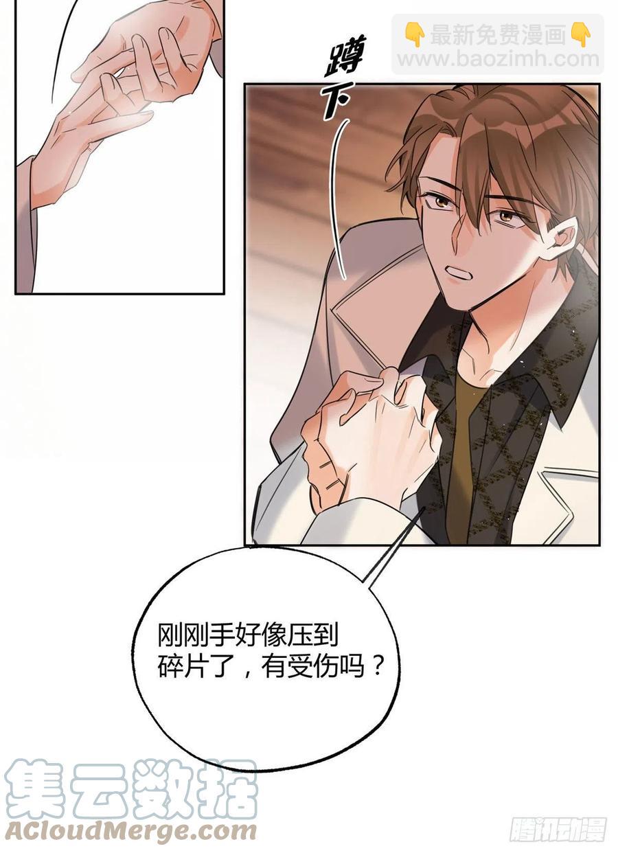 《今天也要努力当只猫》73 裴臻的准男友 第11页