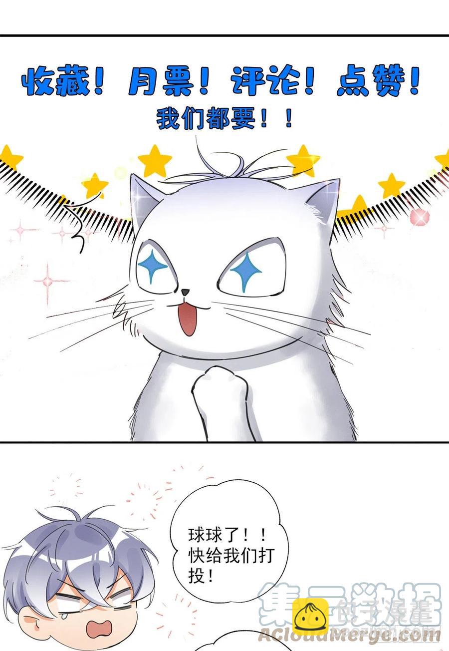 《今天也要努力当只猫》75 我不会后悔 第35页