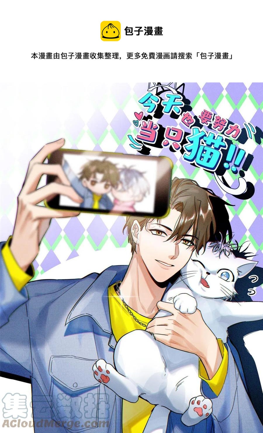 《今天也要努力当只猫》80【官宣！】 第1页