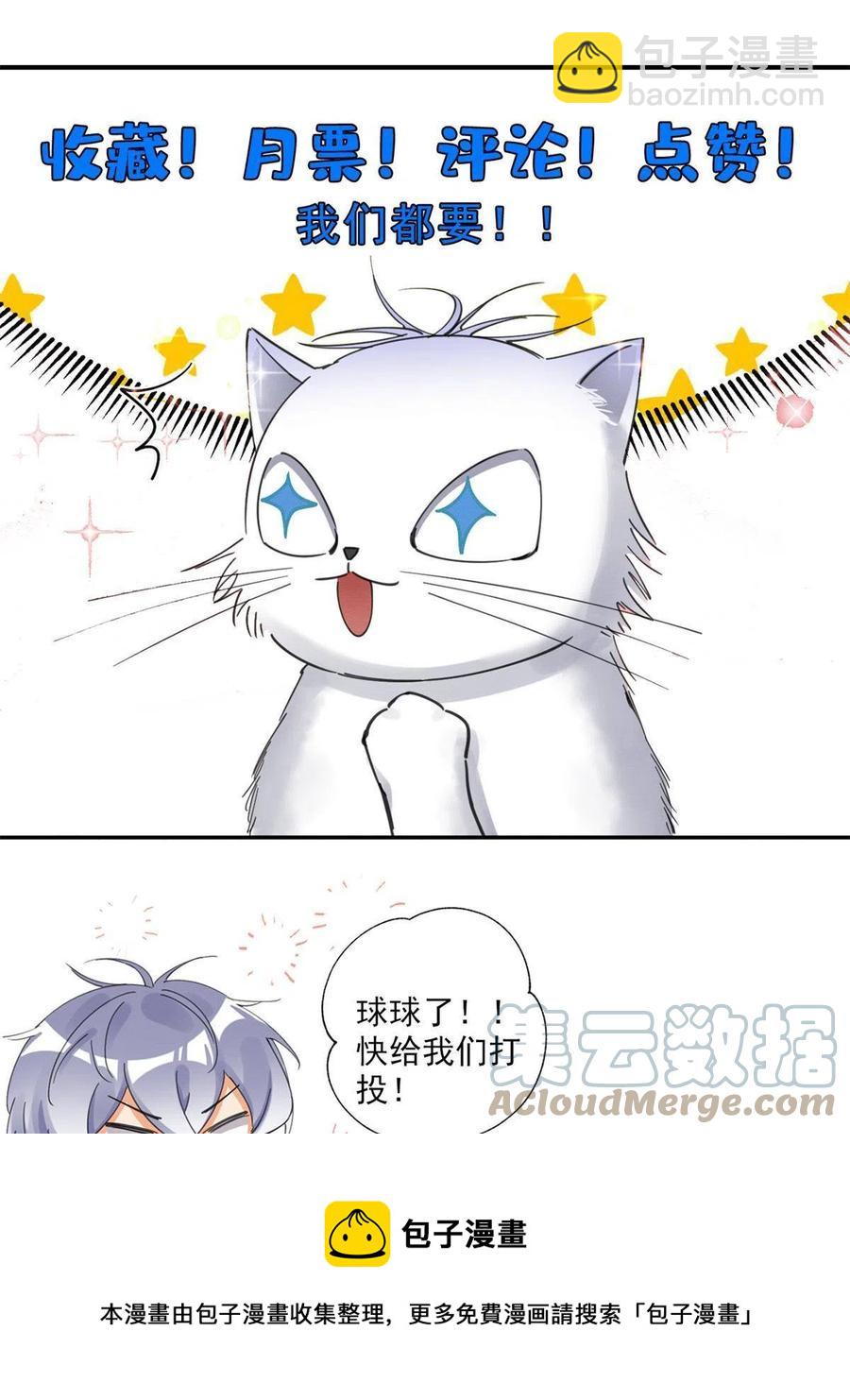 《今天也要努力当只猫》80【官宣！】 第37页