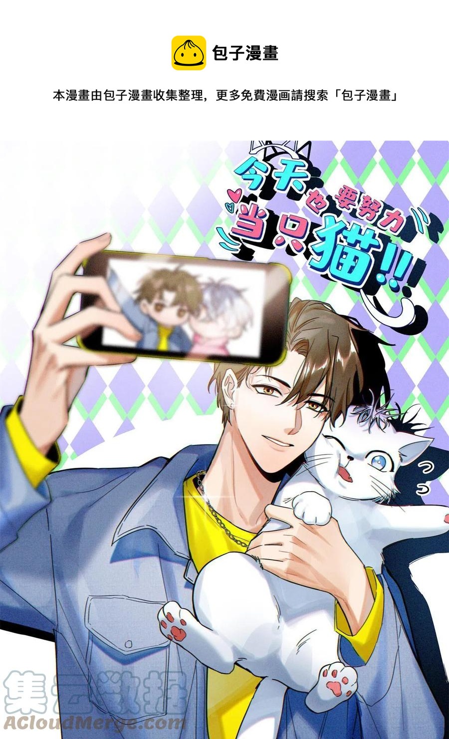 《今天也要努力当只猫》81 舆论危机反转 第1页