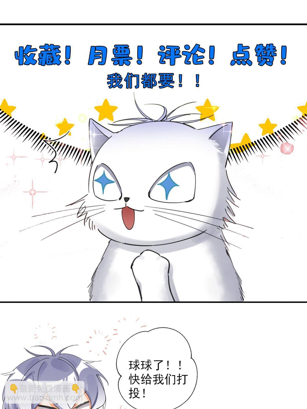 《今天也要努力当只猫》84 卫宵，我喜欢你 第40页