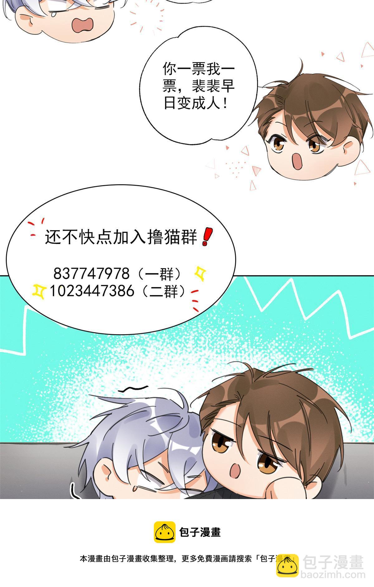 《今天也要努力当只猫》84 卫宵，我喜欢你 第41页
