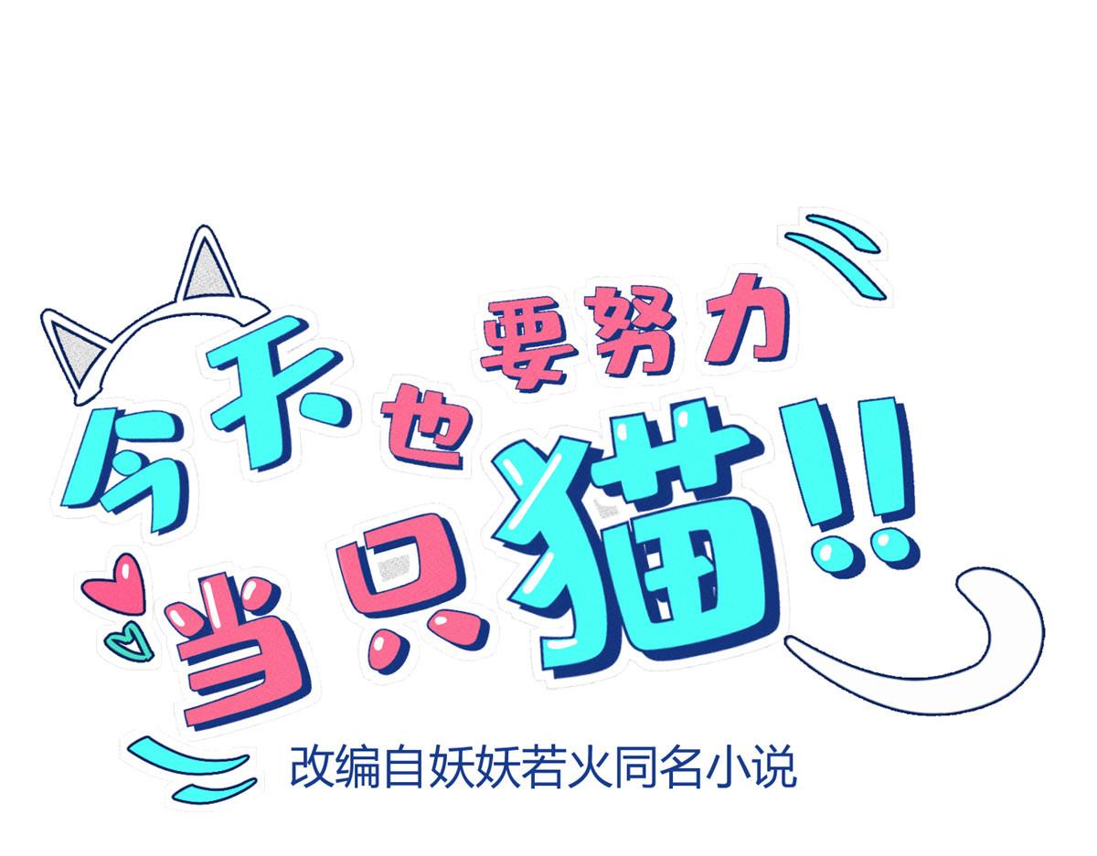 《今天也要努力当只猫》100 戒指 第1页