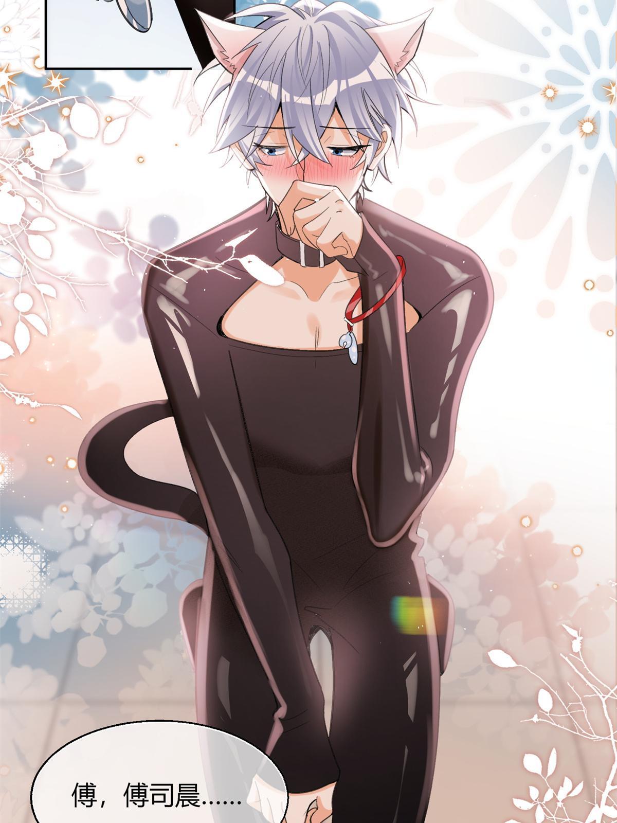 《今天也要努力当只猫》104 猫猫回归！ 第14页