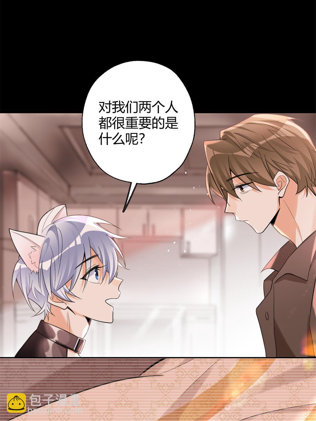 《今天也要努力当只猫》104 猫猫回归！ 第22页