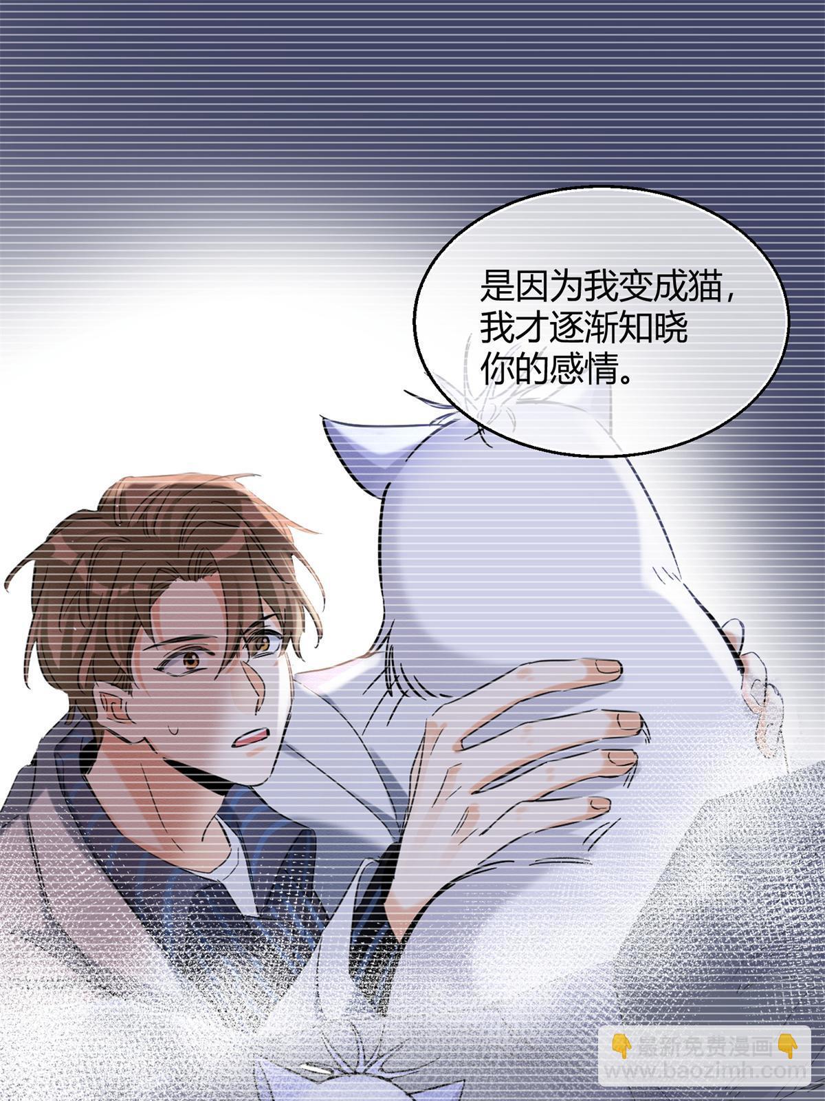 《今天也要努力当只猫》104 猫猫回归！ 第25页