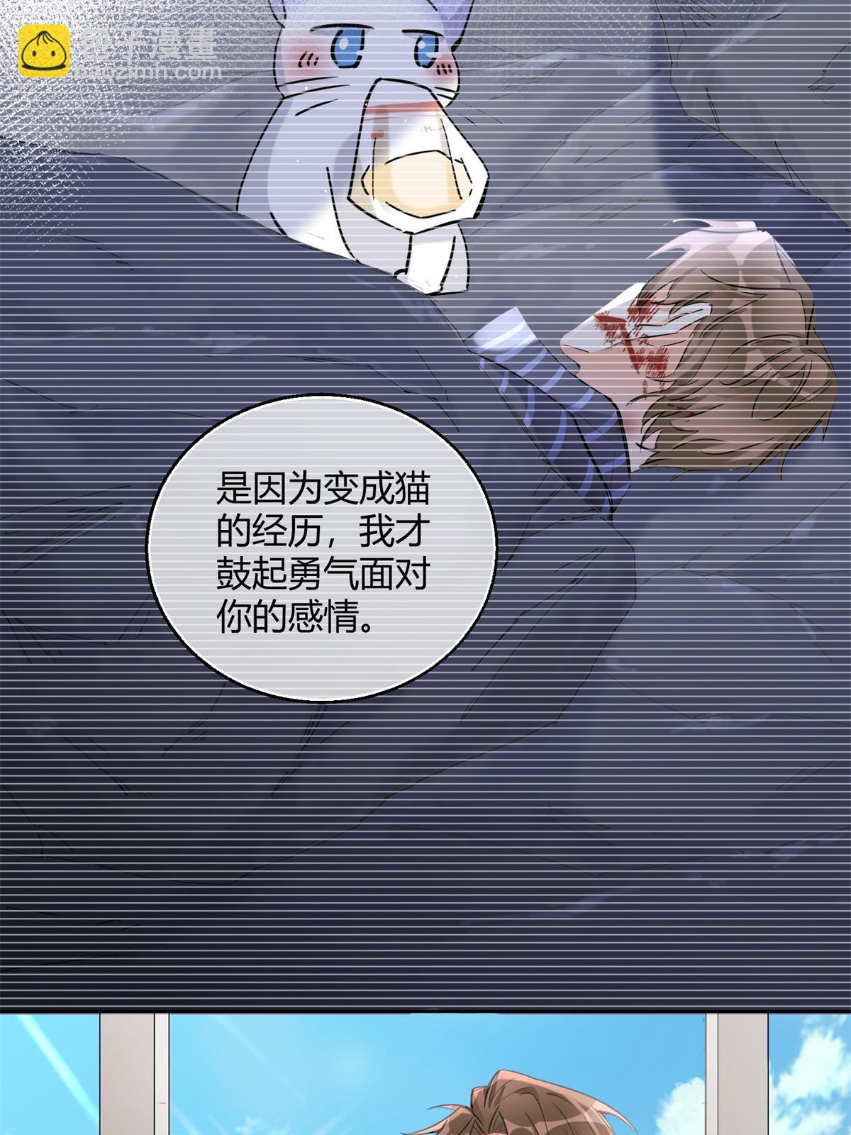 《今天也要努力当只猫》104 猫猫回归！ 第26页