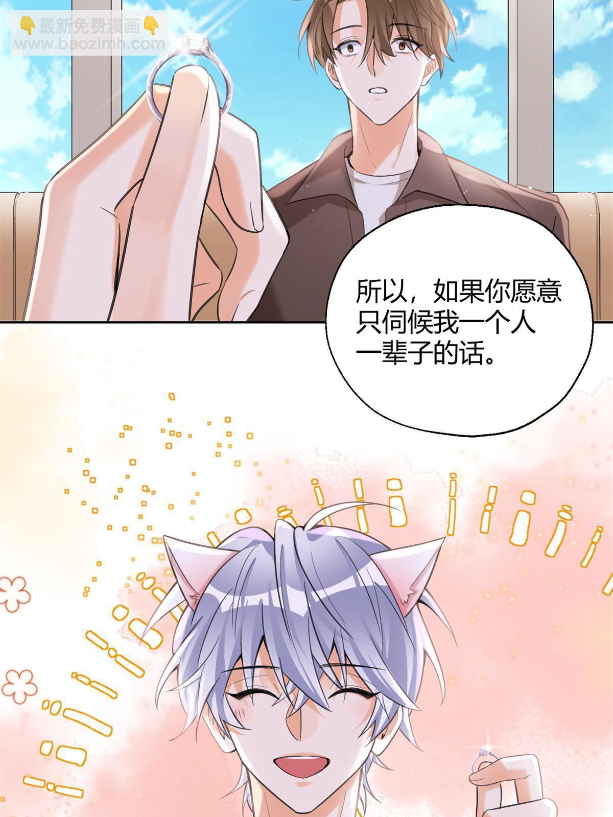 《今天也要努力当只猫》104 猫猫回归！ 第27页