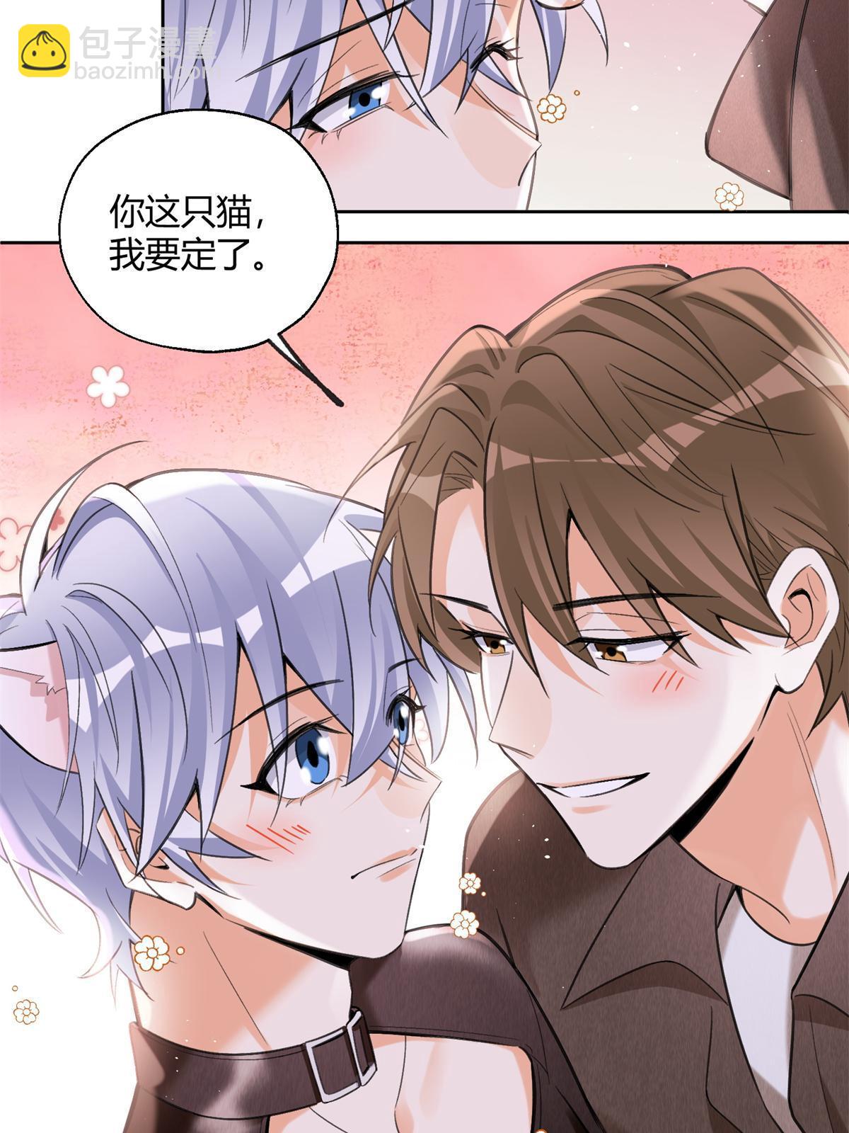 《今天也要努力当只猫》104 猫猫回归！ 第30页