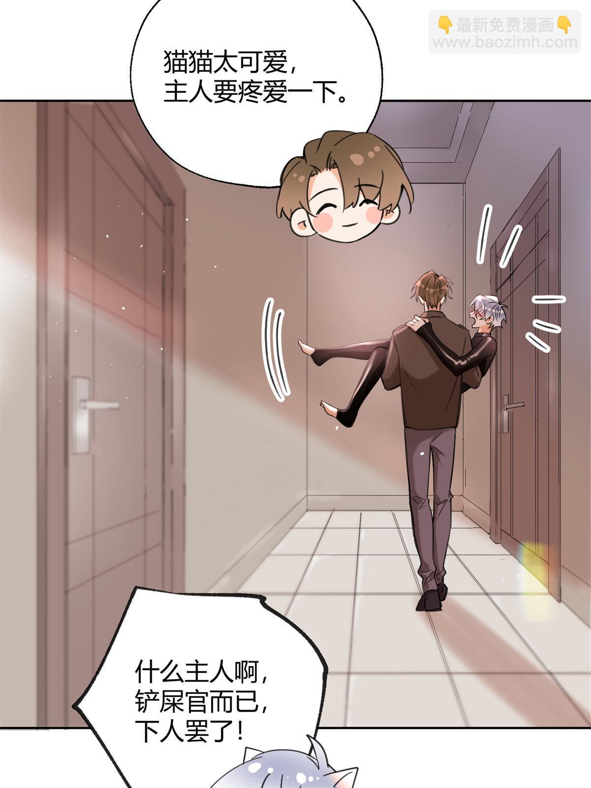 《今天也要努力当只猫》104 猫猫回归！ 第34页