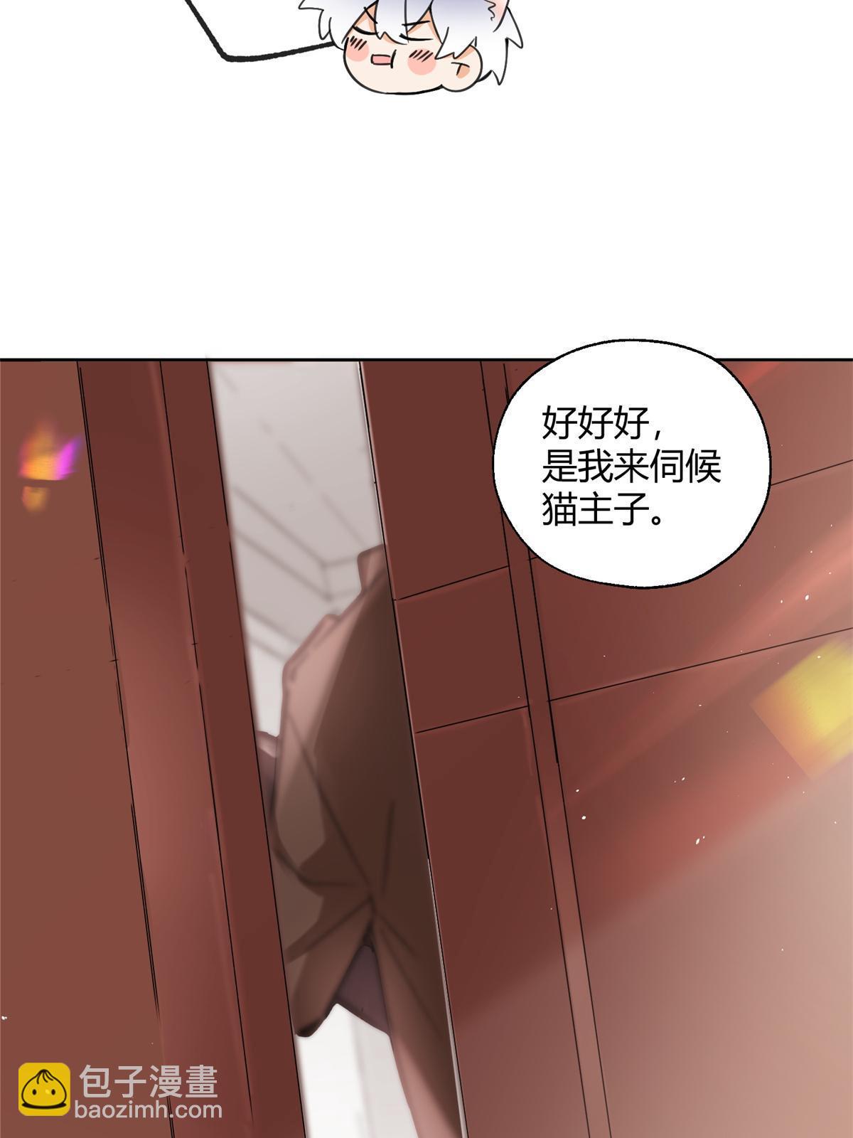 《今天也要努力当只猫》104 猫猫回归！ 第35页