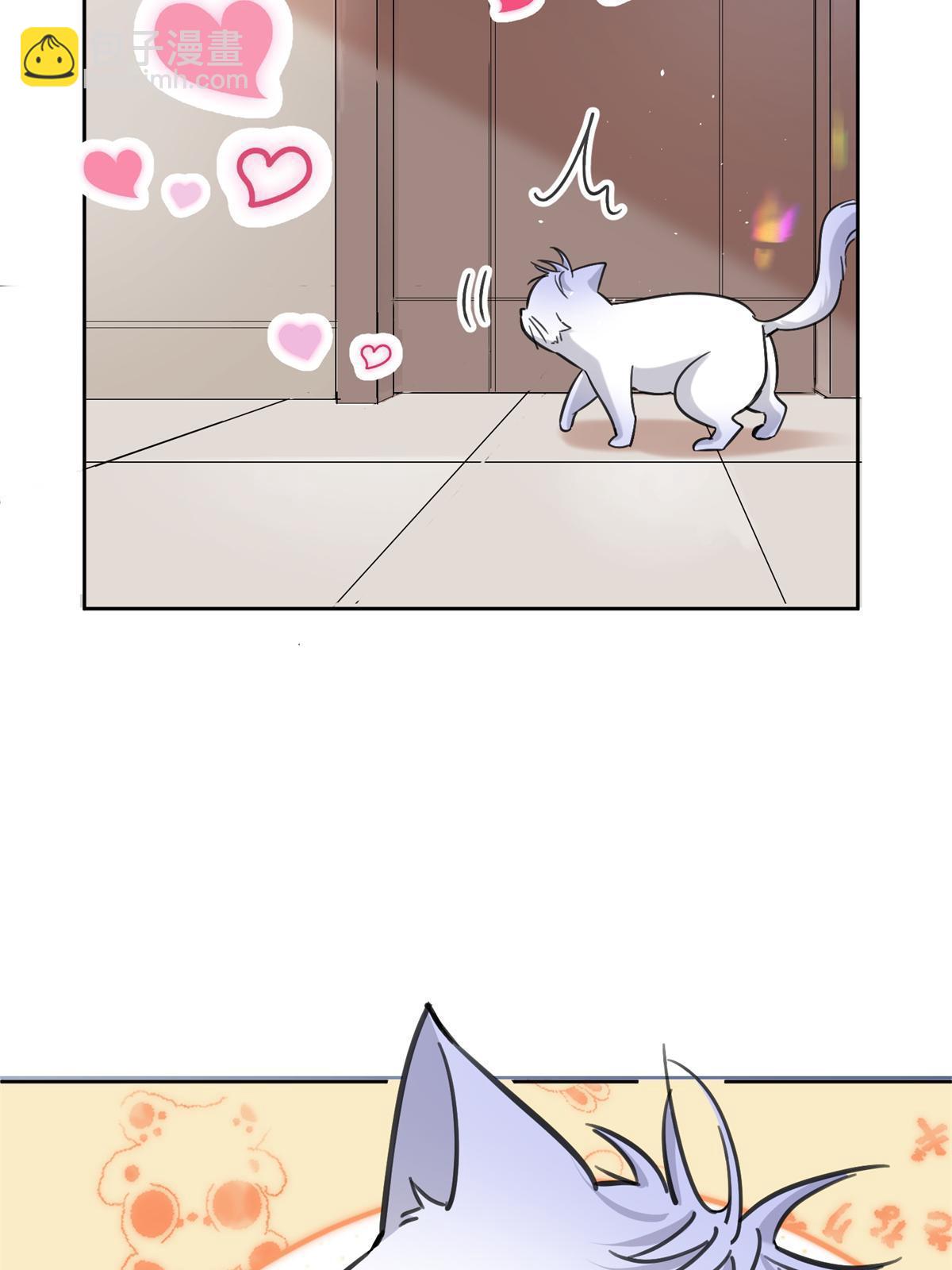 《今天也要努力当只猫》104 猫猫回归！ 第38页