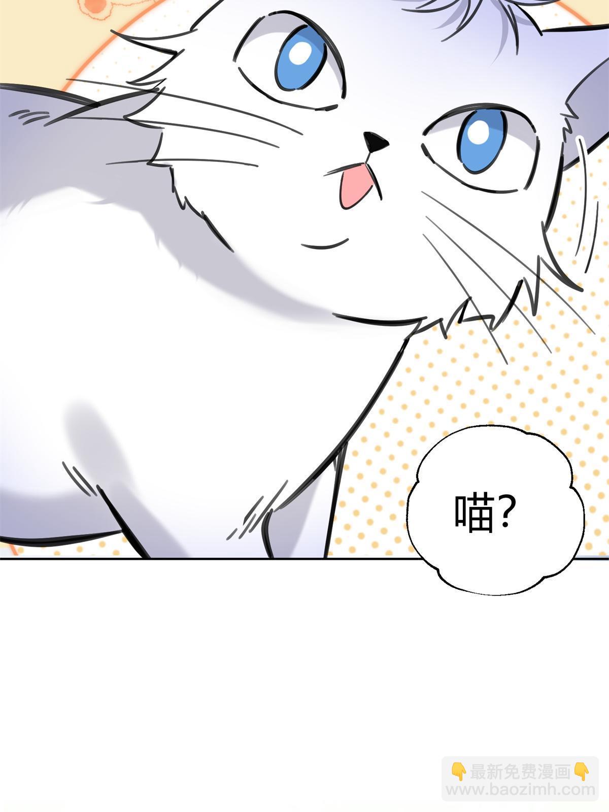 《今天也要努力当只猫》104 猫猫回归！ 第39页