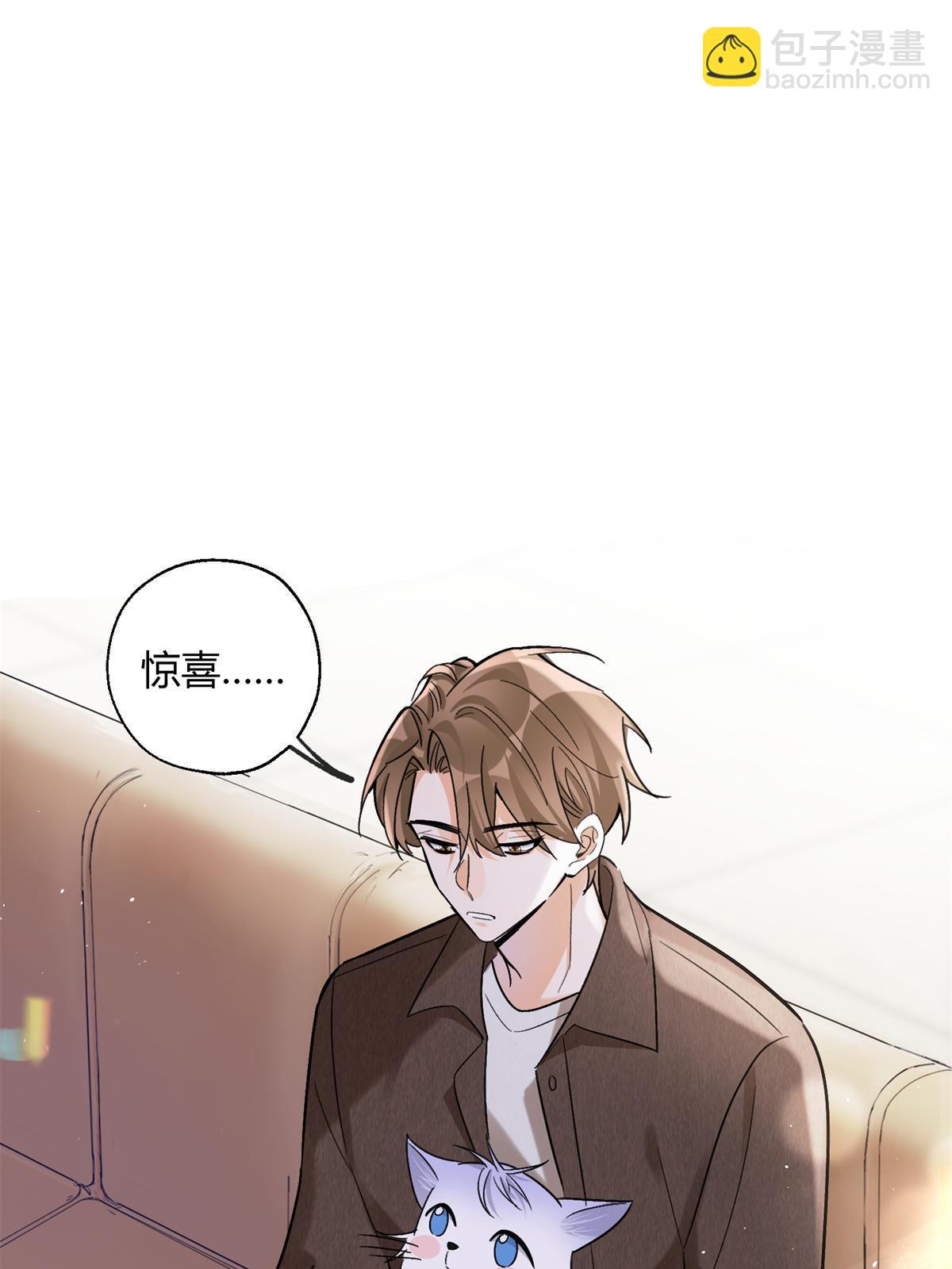 《今天也要努力当只猫》104 猫猫回归！ 第3页