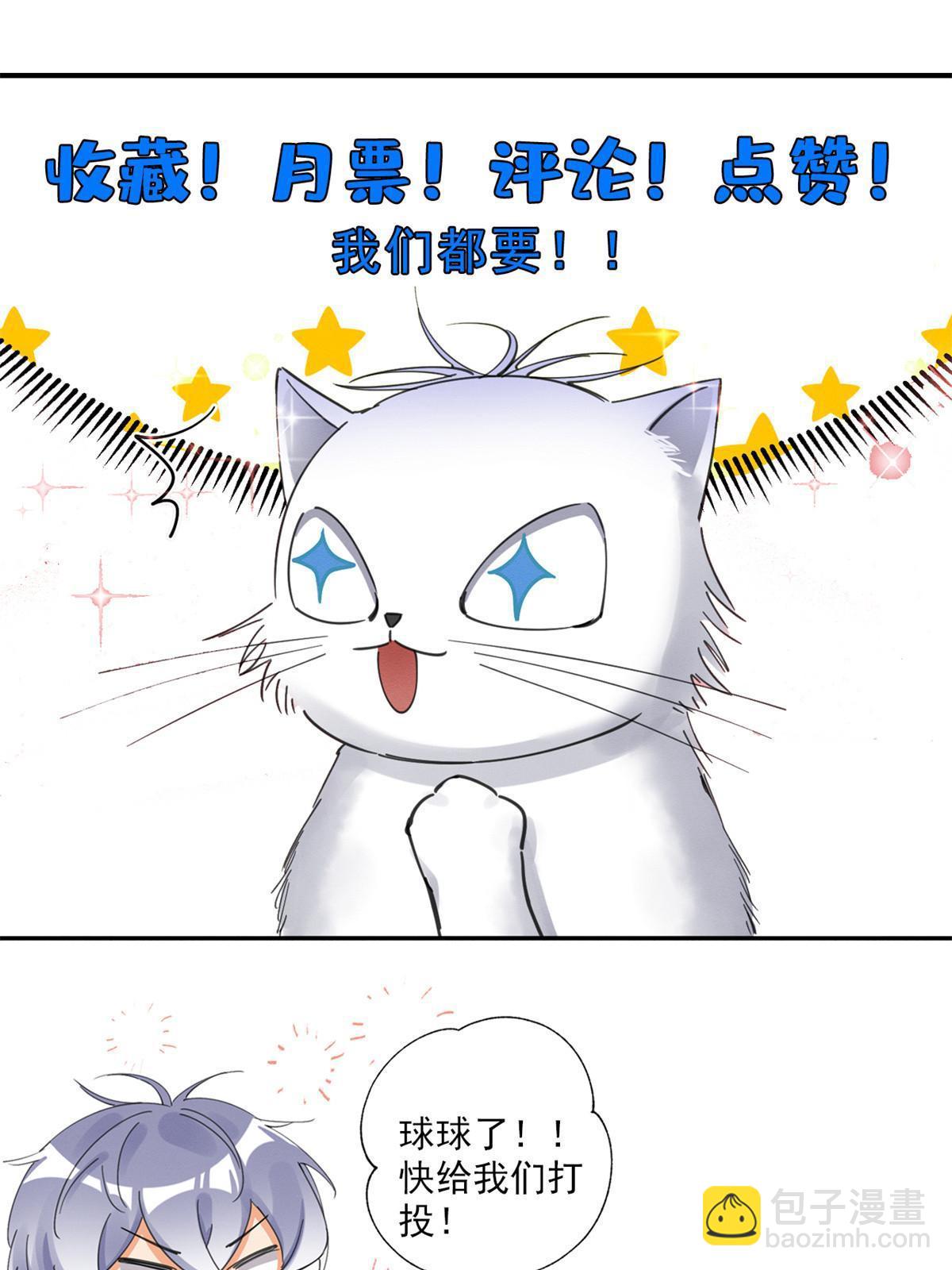 《今天也要努力当只猫》104 猫猫回归！ 第41页