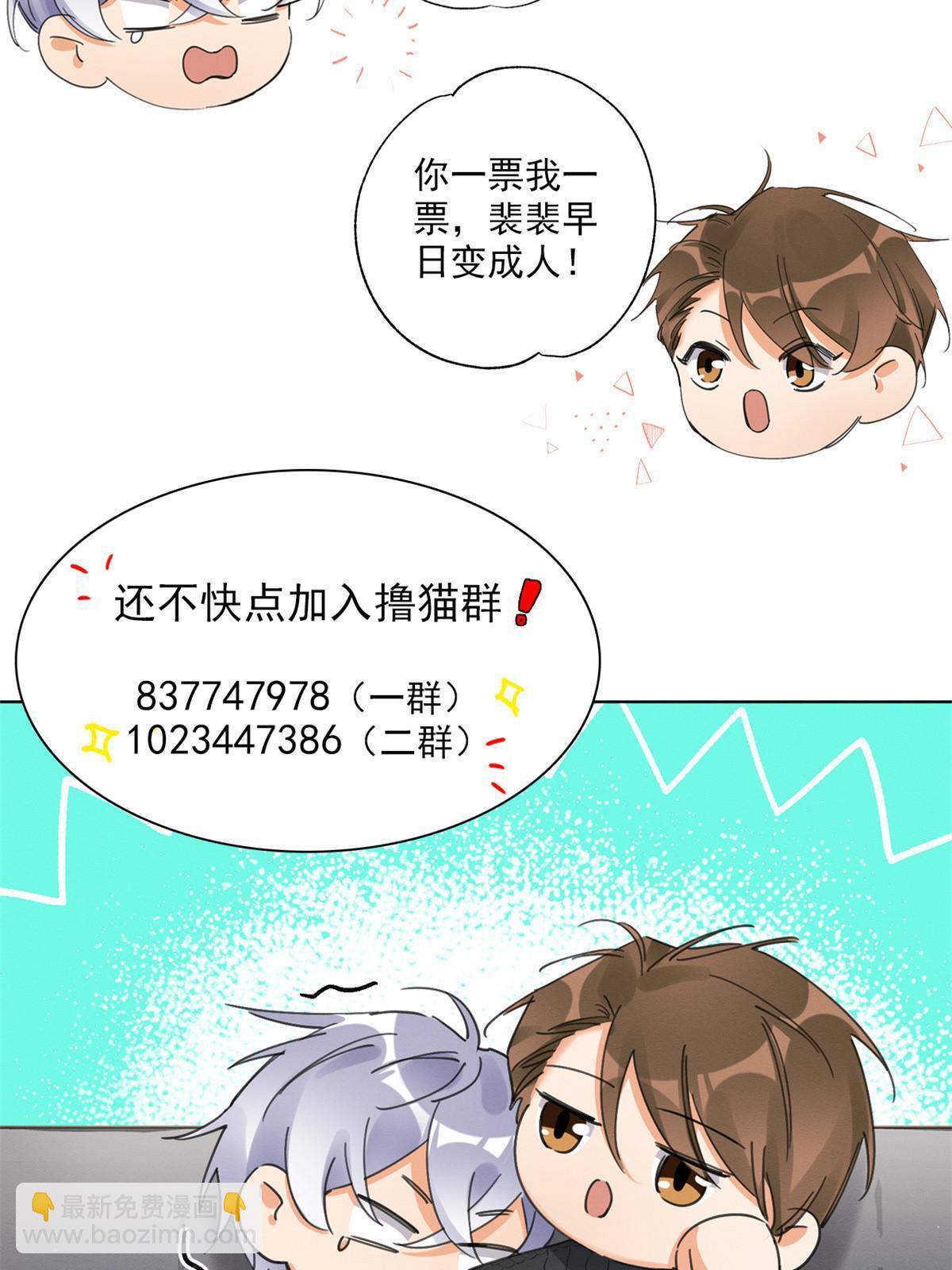 《今天也要努力当只猫》104 猫猫回归！ 第42页