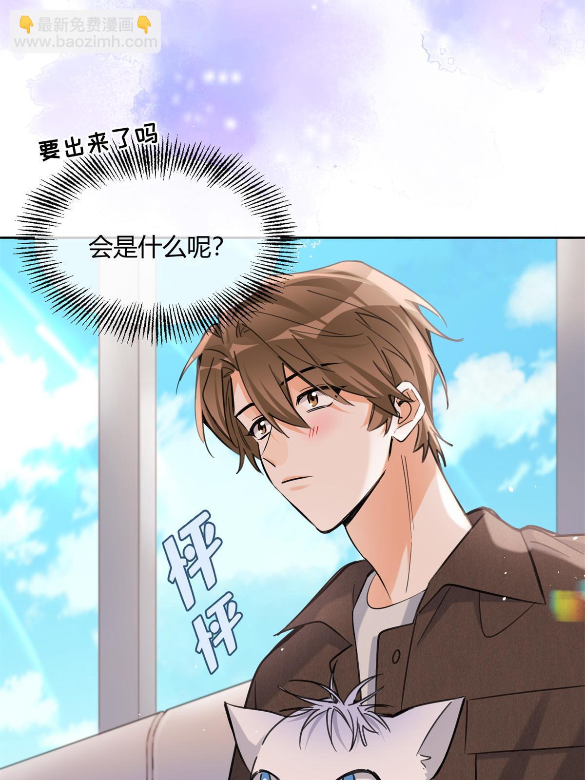 《今天也要努力当只猫》104 猫猫回归！ 第7页