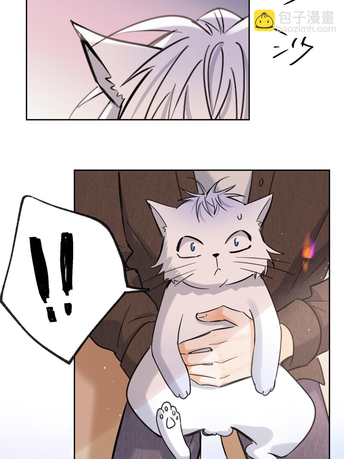 《今天也要努力当只猫》104 猫猫回归！ 第9页