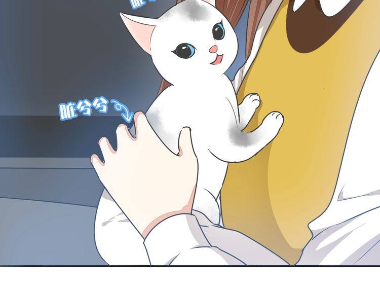 《浪漫香气》第37话 小团子猫咪 第12页
