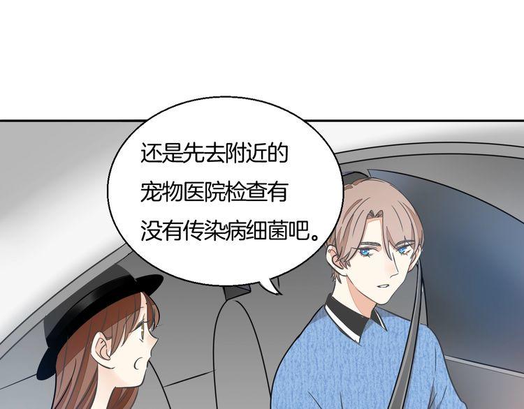 《浪漫香气》第37话 小团子猫咪 第13页