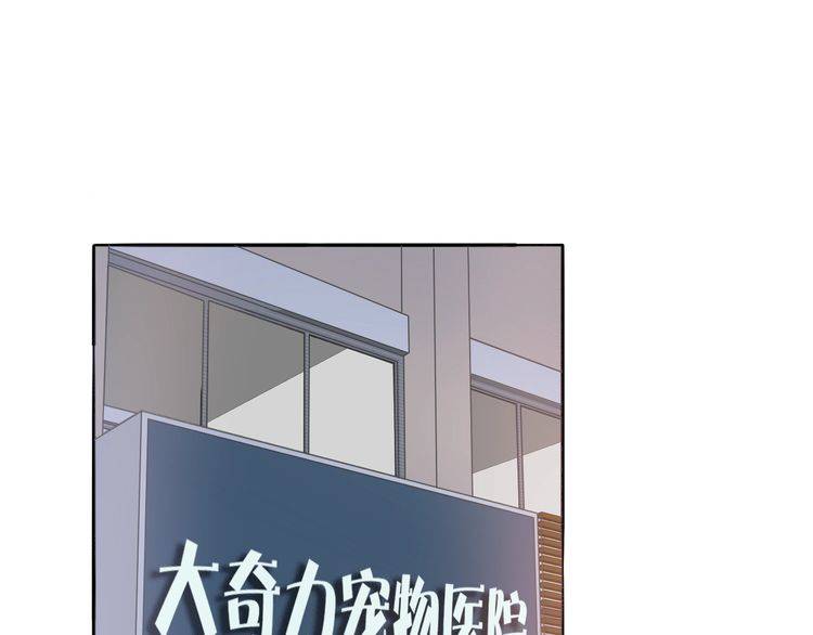 《浪漫香气》第37话 小团子猫咪 第19页