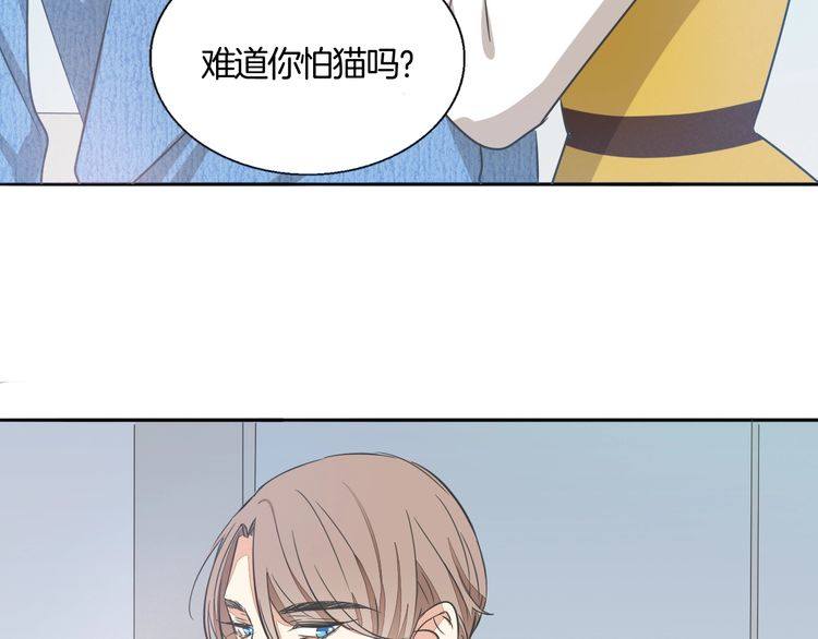 《浪漫香气》第37话 小团子猫咪 第35页