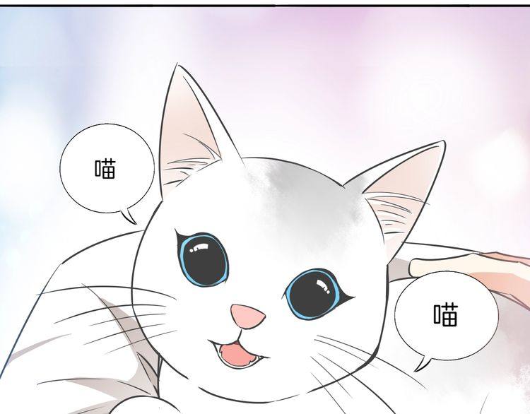 《浪漫香气》第37话 小团子猫咪 第3页