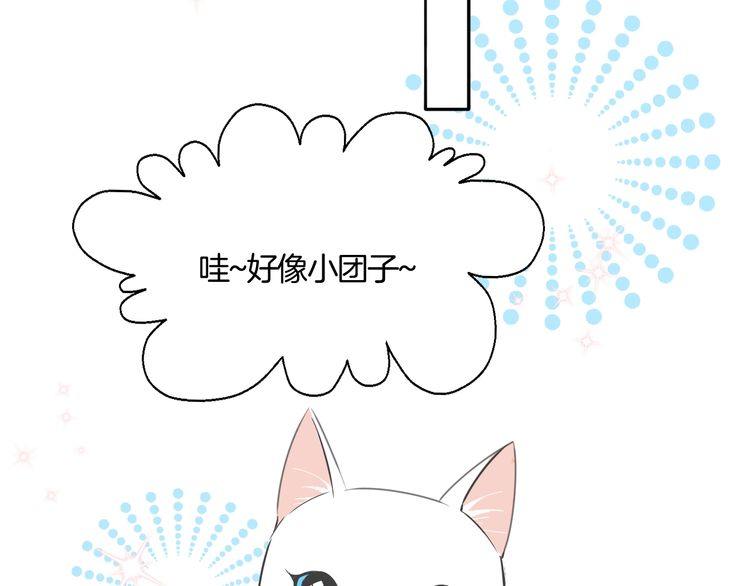 《浪漫香气》第37话 小团子猫咪 第41页