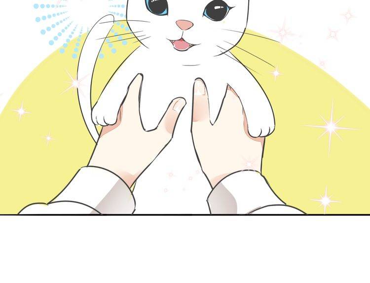 《浪漫香气》第37话 小团子猫咪 第42页