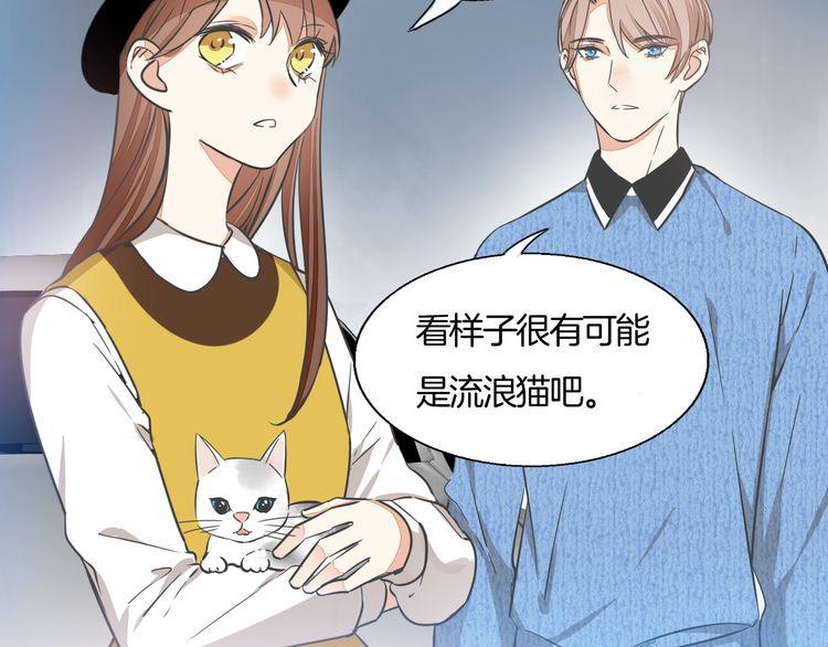 《浪漫香气》第37话 小团子猫咪 第5页