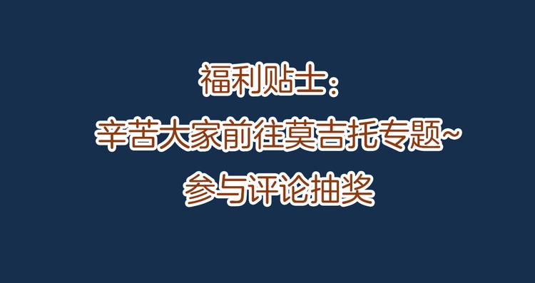 《浪漫香气》福特新作 聚光灯下的隐秘之爱 第48页
