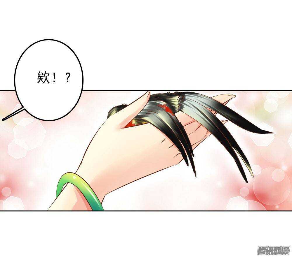 《锦绣无双》手镯的秘密 第25页