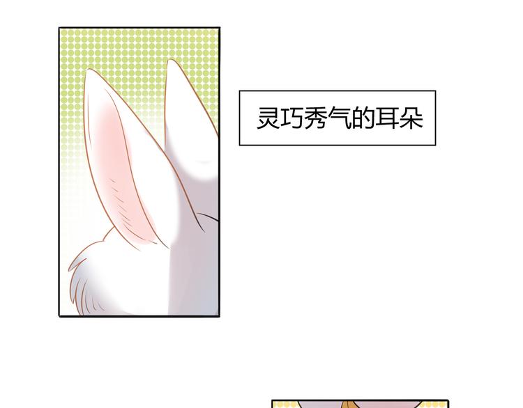 《别碰我的兔子君》第1话 兔子不能吃巧克力？ 第7页