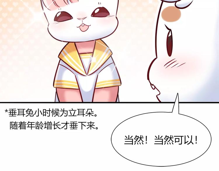 《别碰我的兔子君》第34话 兔子明星 第38页