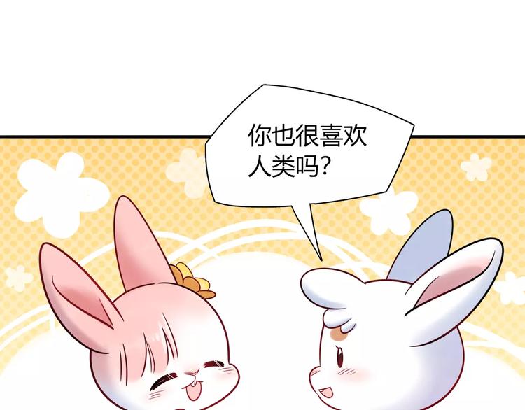 《别碰我的兔子君》第34话 兔子明星 第40页
