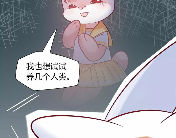 《别碰我的兔子君》第34话 兔子明星 第42页