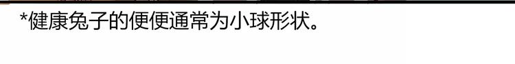 《别碰我的兔子君》第33话我要去见她！ 第9页