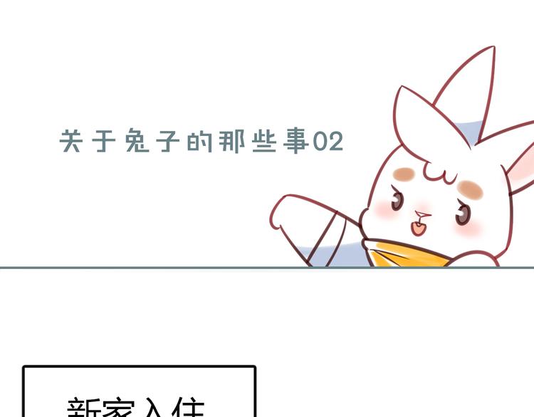 《别碰我的兔子君》特别篇 关于兔子的那些事02 第1页