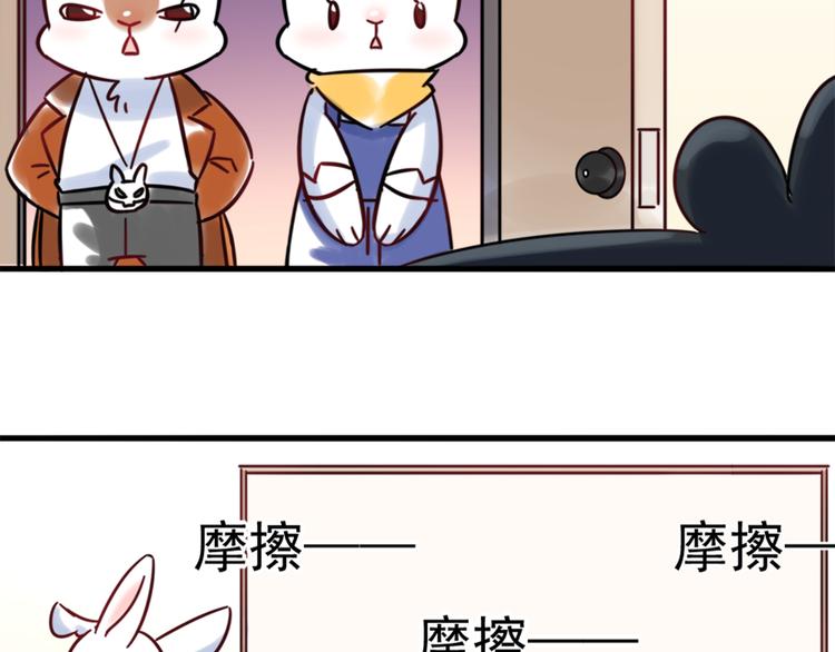 《别碰我的兔子君》特别篇 关于兔子的那些事02 第3页