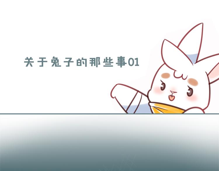 《别碰我的兔子君》特别篇 关于兔子的那些事01 第1页