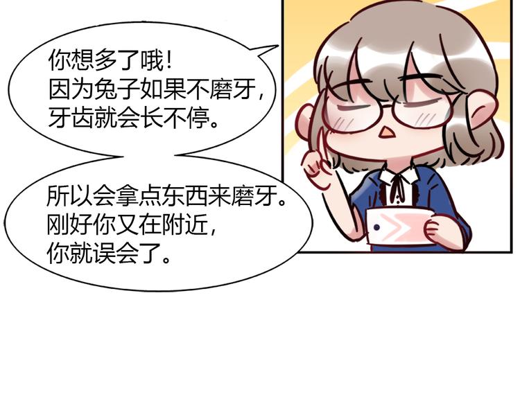 《别碰我的兔子君》特别篇 关于兔子的那些事01 第5页