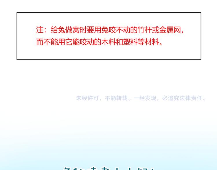 《别碰我的兔子君》特别篇 关于兔子的那些事01 第6页