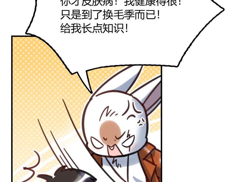 《别碰我的兔子君》特别篇 关于兔子的那些事03 第11页