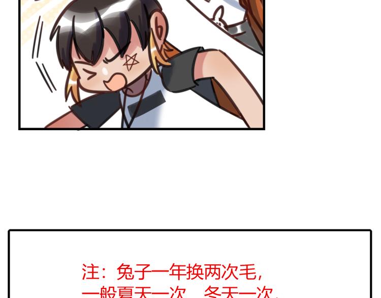 《别碰我的兔子君》特别篇 关于兔子的那些事03 第12页