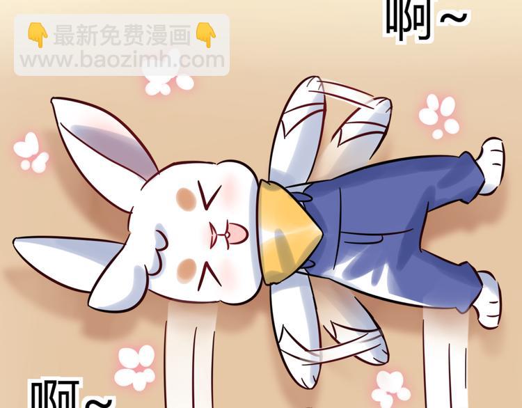 《别碰我的兔子君》特别篇 关于兔子的那些事04 第11页