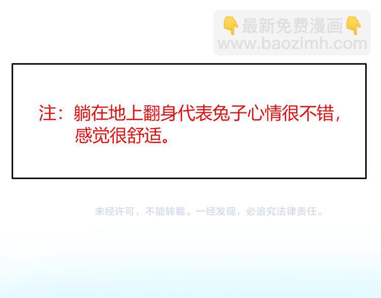 《别碰我的兔子君》特别篇 关于兔子的那些事04 第16页
