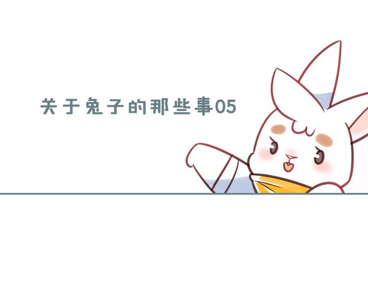 《别碰我的兔子君》特别篇 关于兔子的那些事05 第1页